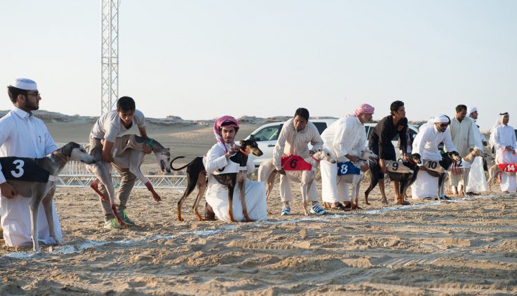 جمعية القناص القطرية