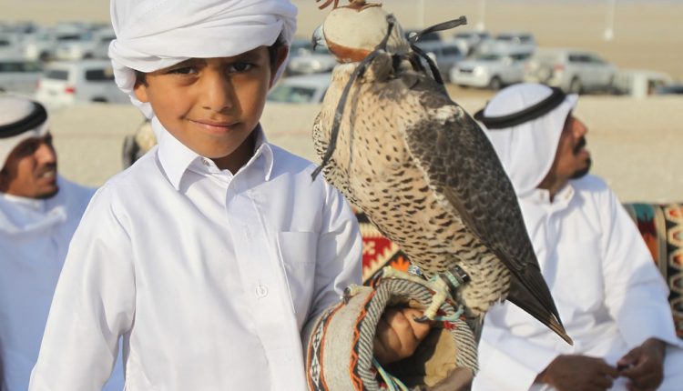 الصقارة