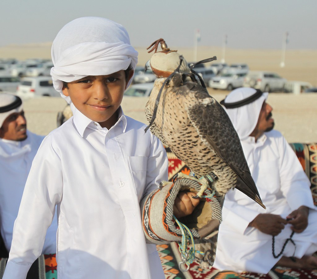 الصقارة تراث من الآباء للأبناء