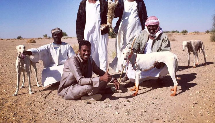 الصيد بالسلوقي في السودان